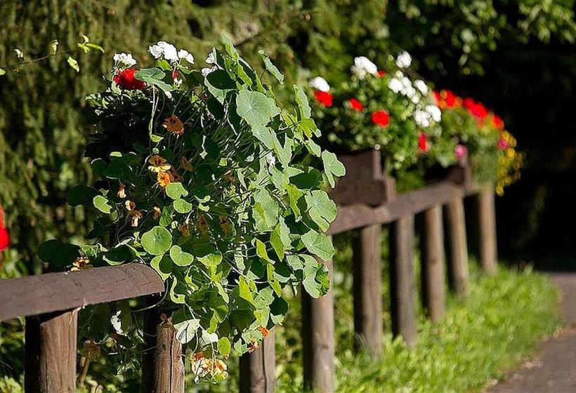 Курорт Haus 1   Typ B