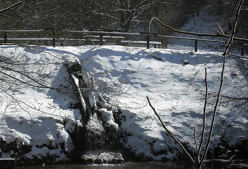 Курорт Haus 1   Typ B