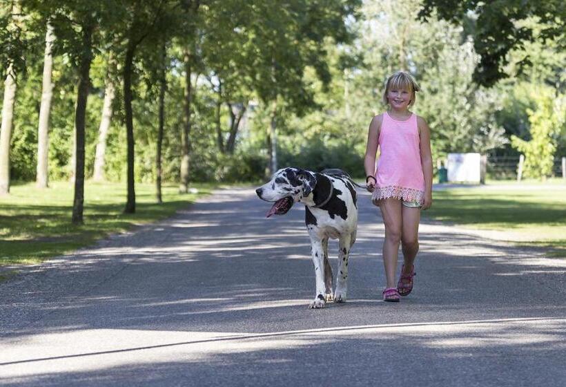 リゾートホテル Mb Beach Cottage