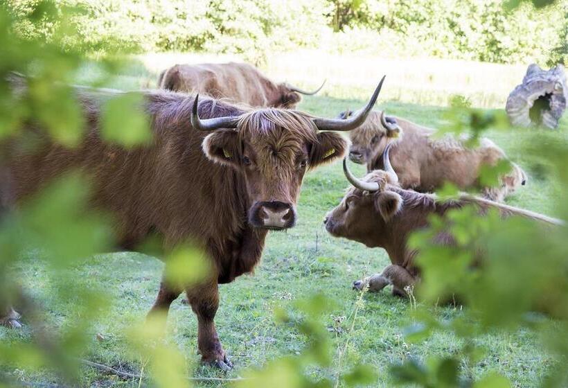 אתר נופש Mb Westerschelde Mobile Home