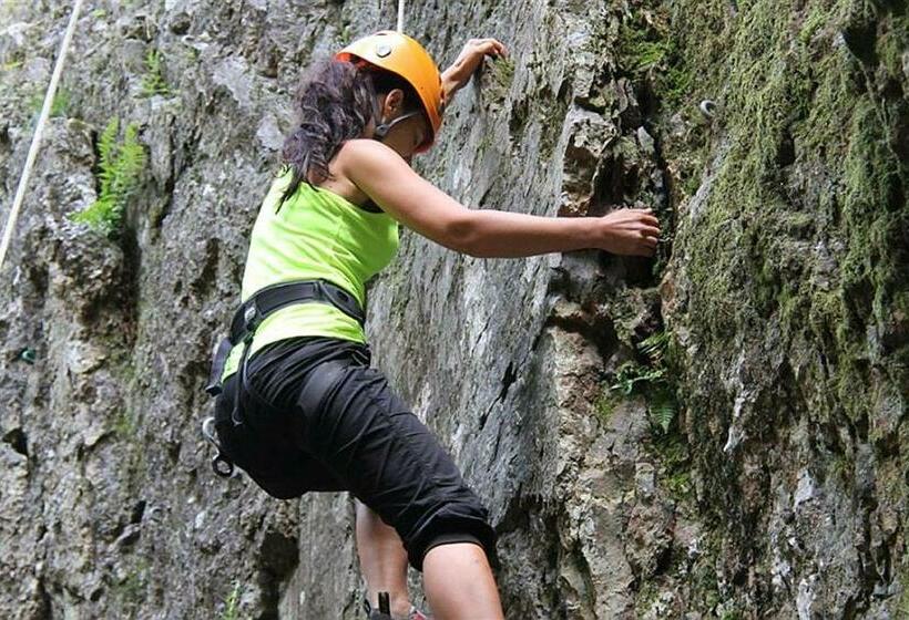 منتجع Vulkaneifel Type L C6