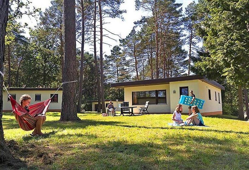 منتجع Vulkaneifel Type L C6