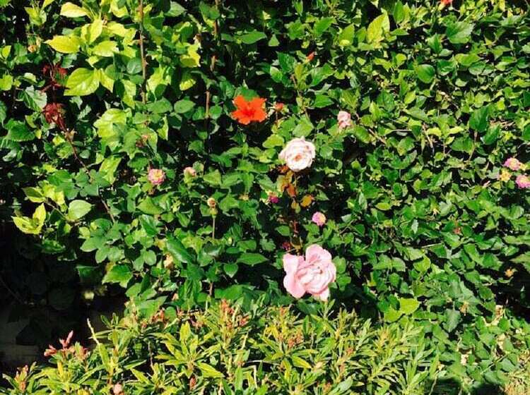 Townhouse Coral Bay Village