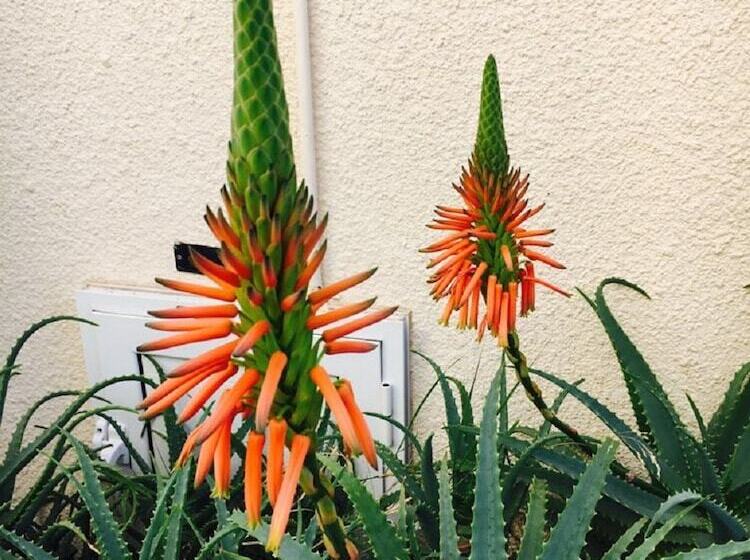 Townhouse Coral Bay Village