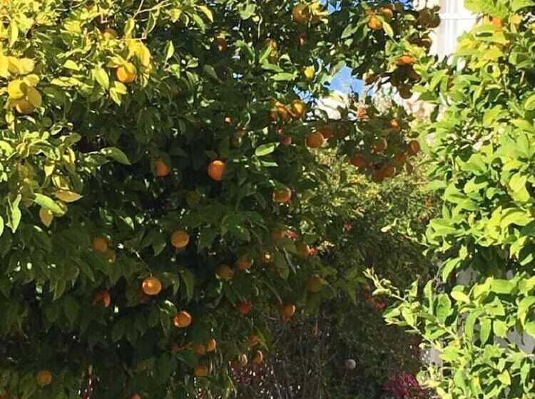 Townhouse Coral Bay Village