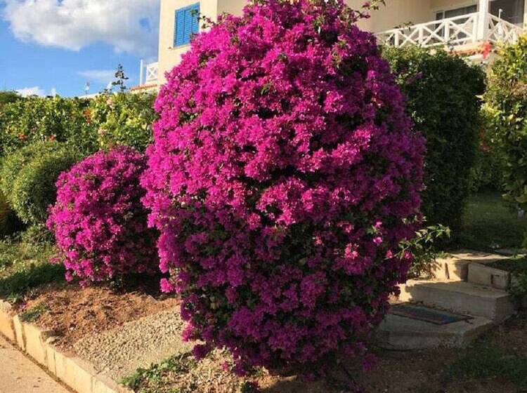 Townhouse Coral Bay Village