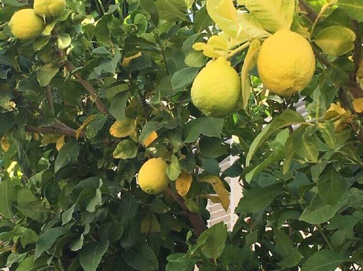 Townhouse Coral Bay Village