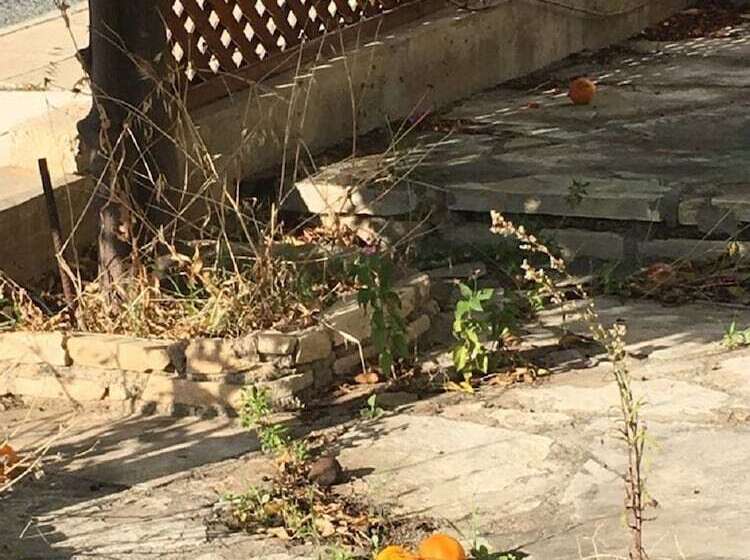 Townhouse Coral Bay Village