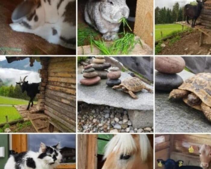 Alpenpension Ettlerlehen