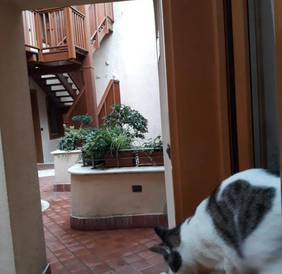 צימר Ai Vellutai