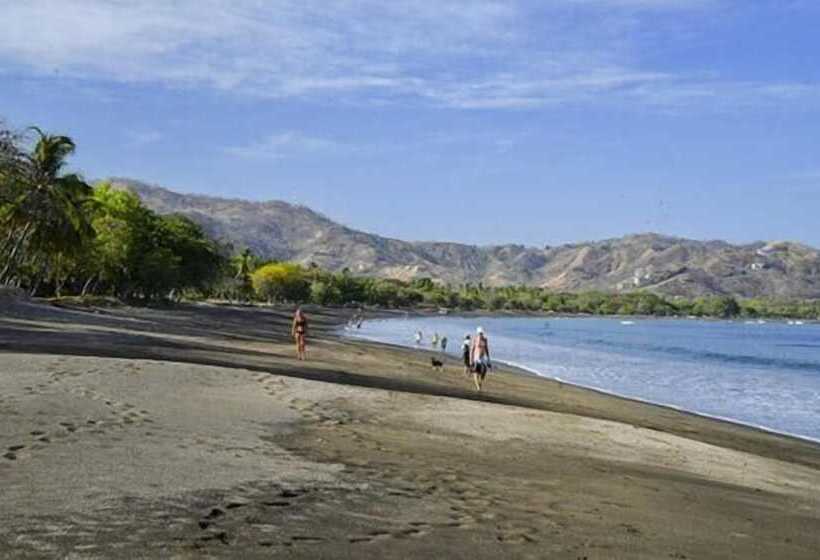 فندق Cabinas Coco Alegre