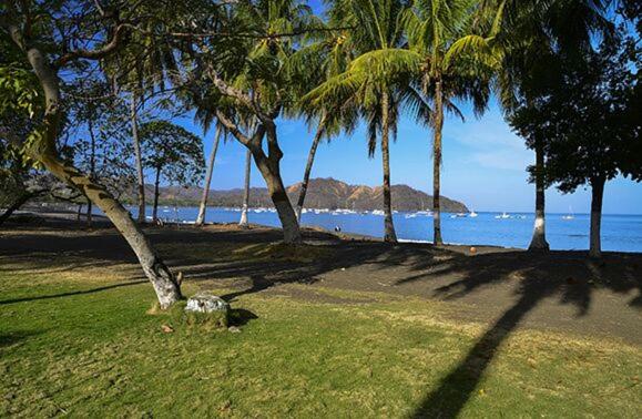 فندق Cabinas Coco Alegre