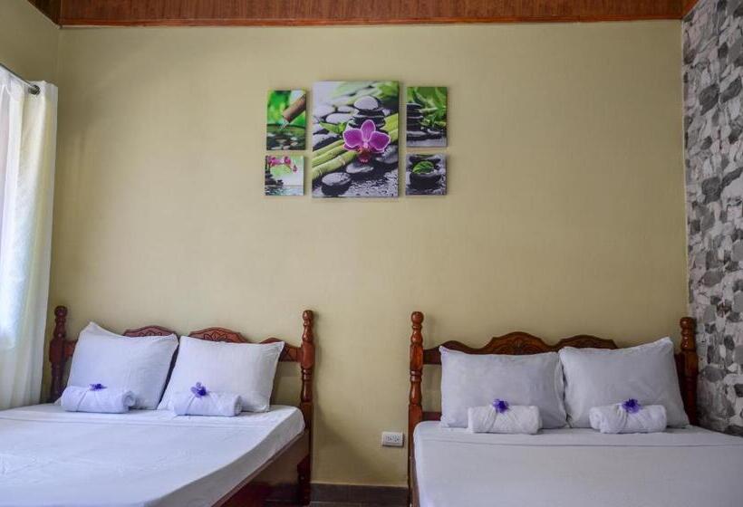 فندق Cabinas Coco Alegre