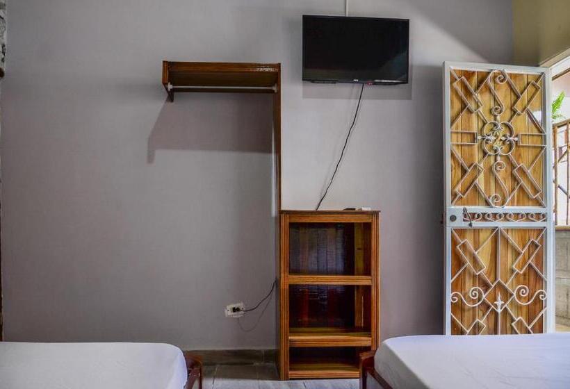 فندق Cabinas Coco Alegre