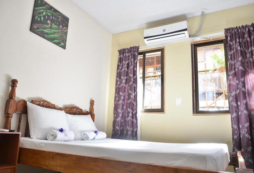 فندق Cabinas Coco Alegre