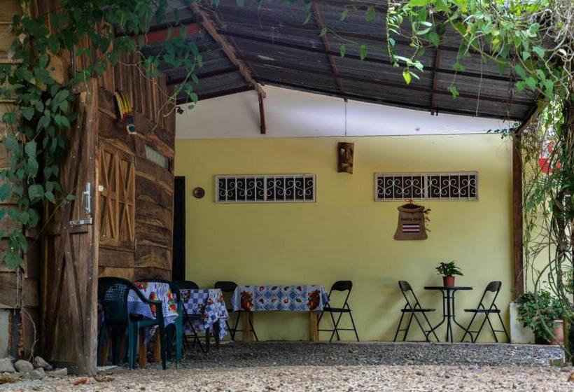 فندق Cabinas Coco Alegre