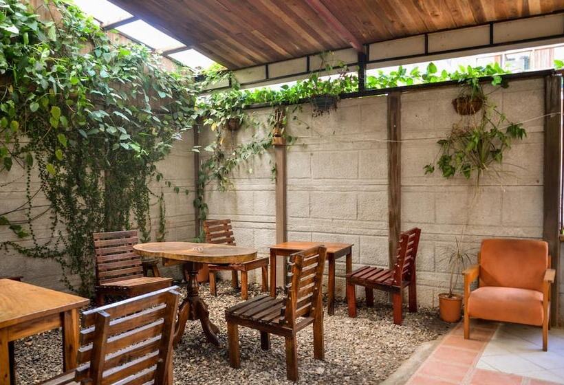 فندق Cabinas Coco Alegre