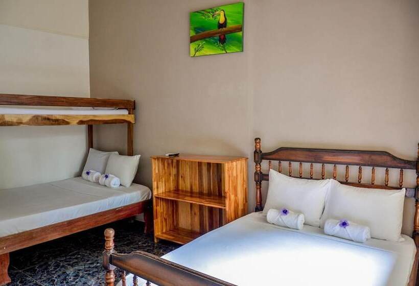 فندق Cabinas Coco Alegre