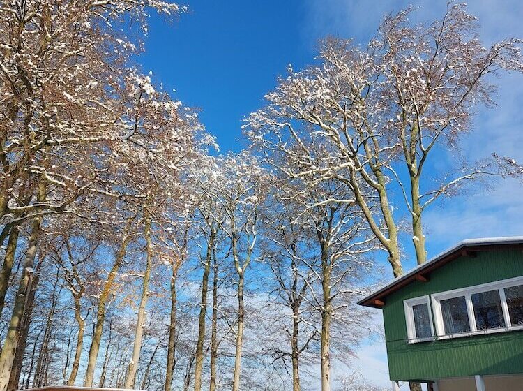 Отель Forsthaus Langenberg