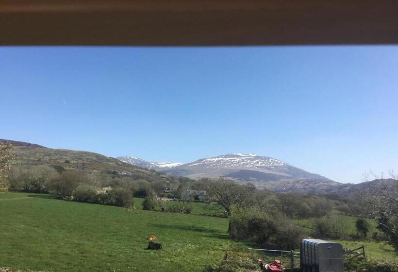 Отель Tyddyn Perthi Farm