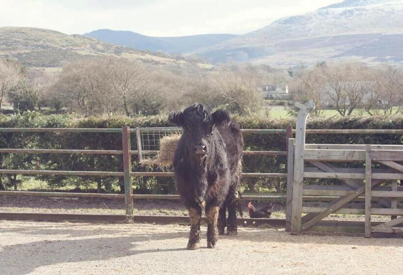 Отель Tyddyn Perthi Farm