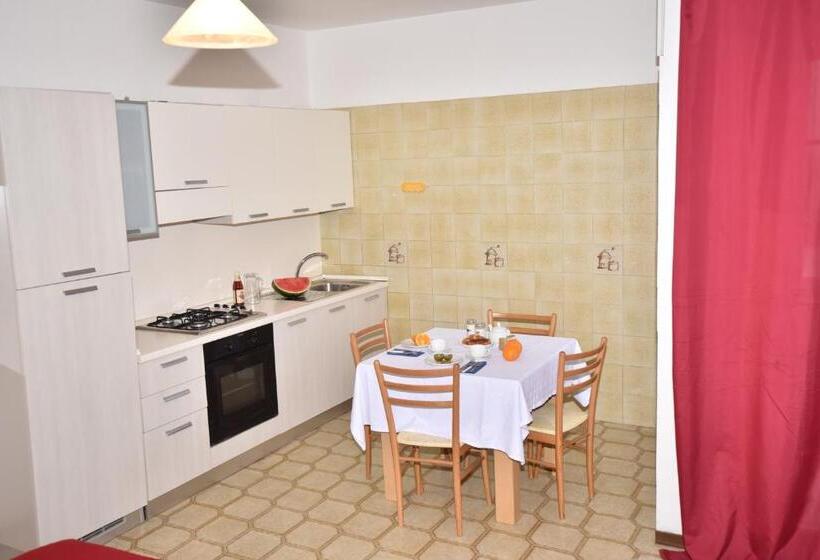 Macrinum Green Marine