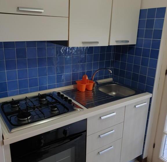 Macrinum Green Marine