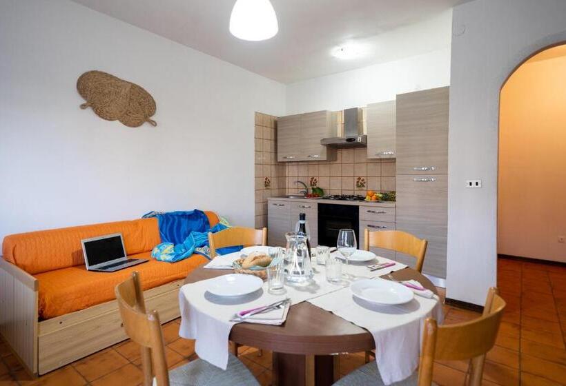 Macrinum Green Marine