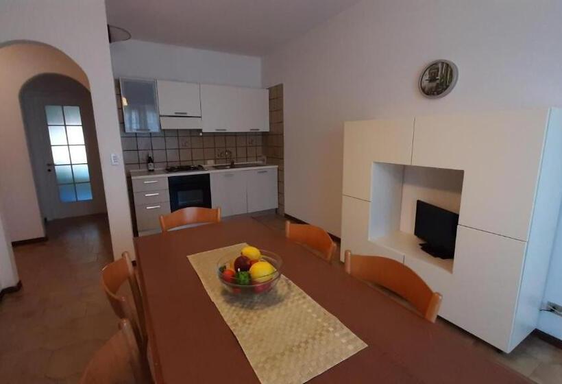 Macrinum Green Marine