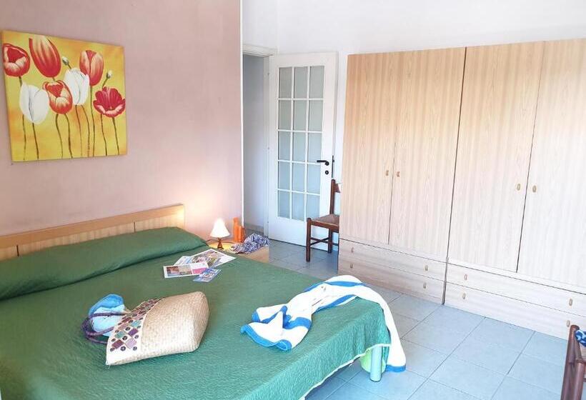 Macrinum Green Marine