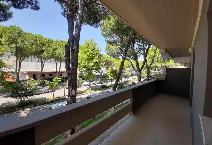 Macrinum Green Marine