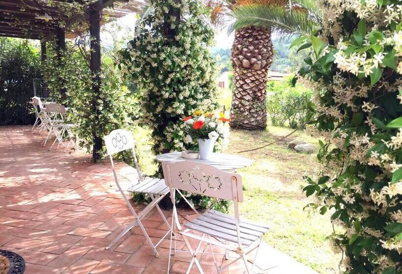 פנסיון Affittacamere Anselmi Sauro