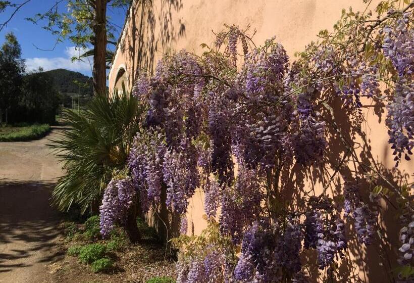 פנסיון Affittacamere Anselmi Sauro