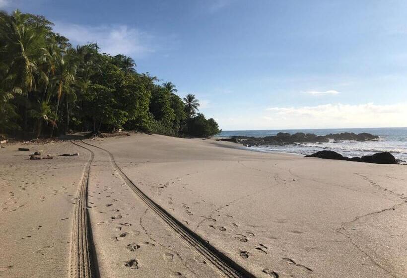 پانسیون Casa Frangipani