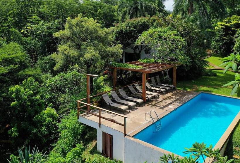 پانسیون Casa Frangipani