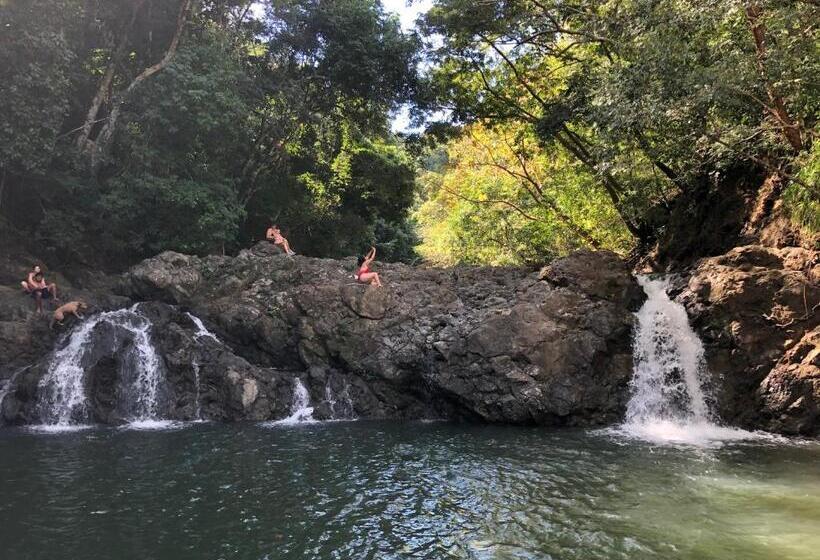 پانسیون Casa Frangipani