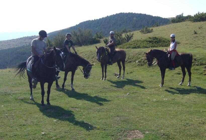 פנסיון Casa Masover