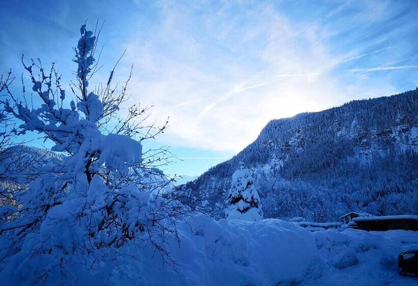 ペンション Gästehaus Siegllehen