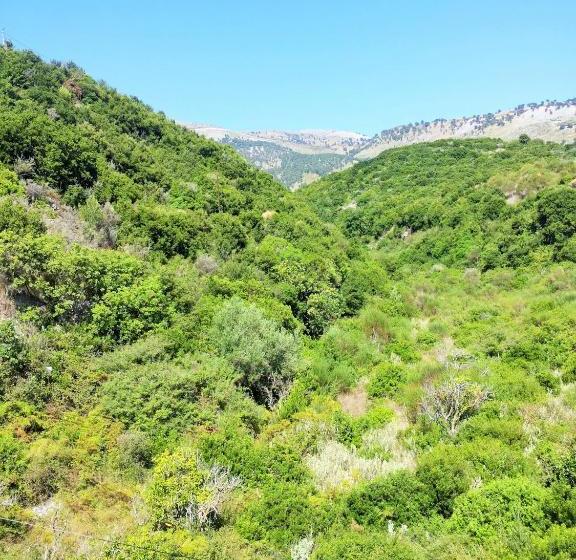 פנסיון Sunflower Himara