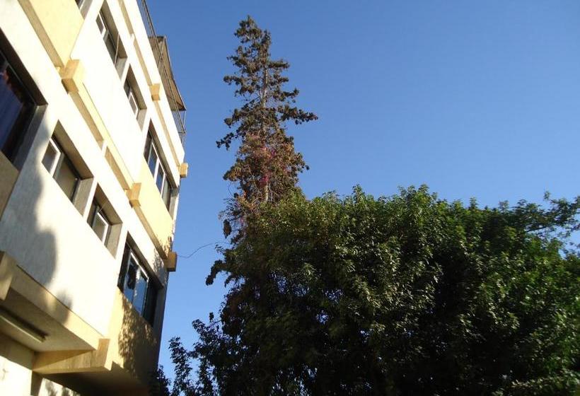 Pensión Takad Dream Hostel Agadir