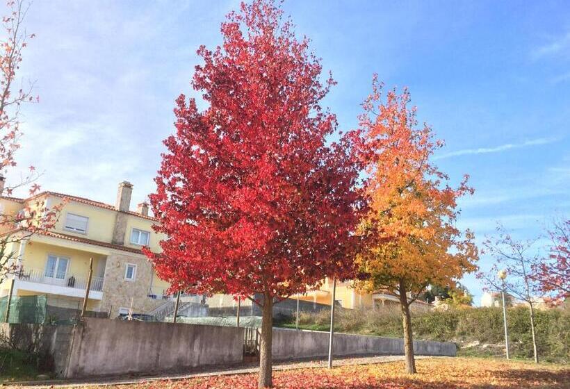 Пансион Templar Secrets House