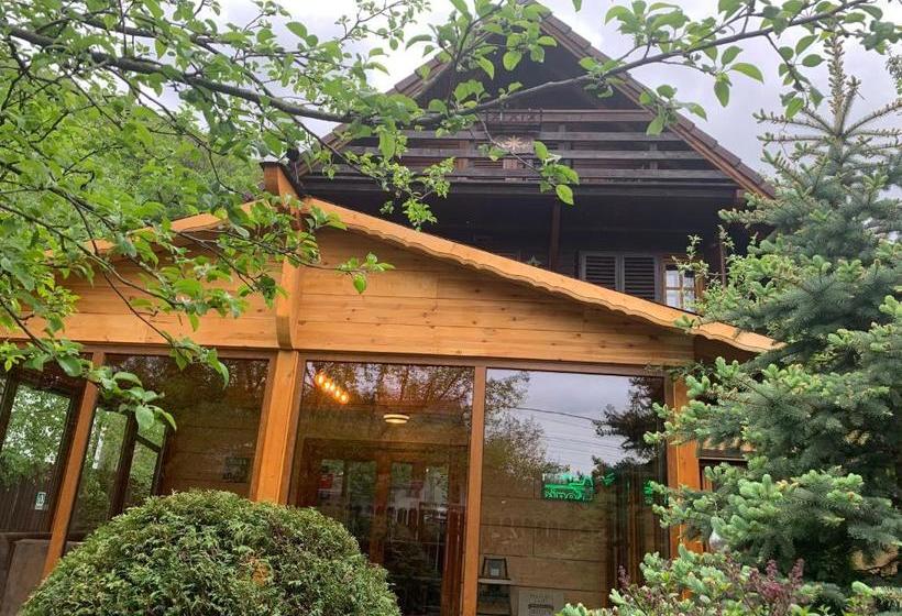 Пансион Chalet Milenium Residence Bran