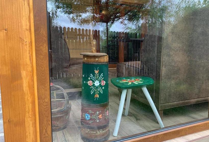 Пансион Chalet Milenium Residence Bran