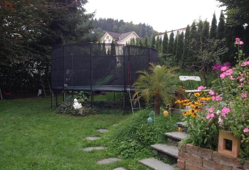 Пансион Villa Donkey Bnb