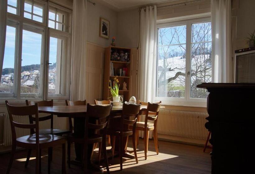 Пансион Villa Donkey Bnb