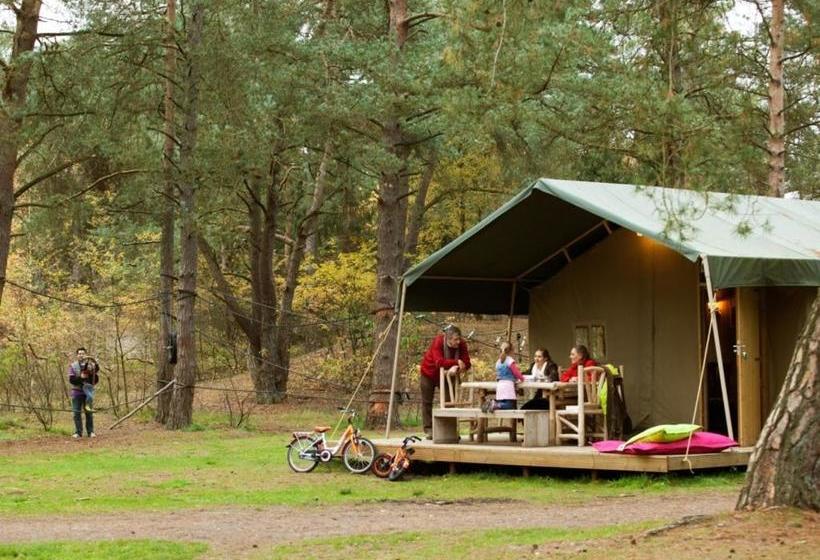 אתר נופש Landal Coldenhove