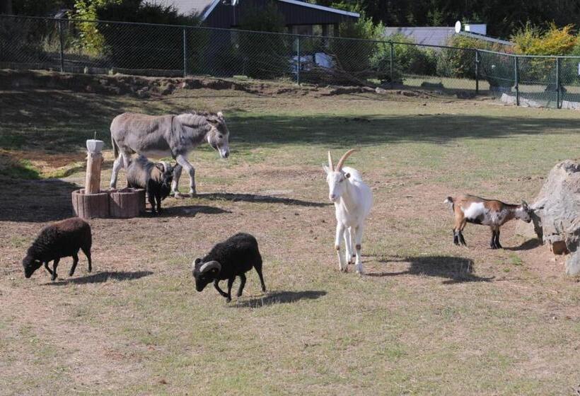 リゾートホテル Typ B4