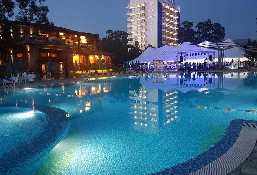 Dreamland Oasis 7 Chakvi