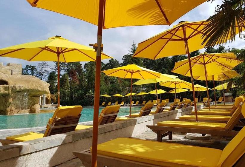 Dreamland Oasis 7 Chakvi