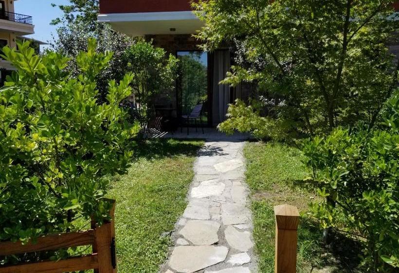 Dreamland Oasis 7 Chakvi